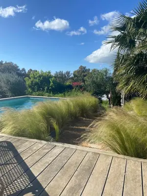 a wooden boardwalk leading to a swimming pool at Palombaggia Camara - Lecci Lodge in Lecci