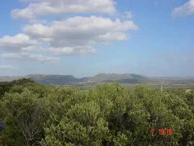 a group of trees with mountains in the background at Tozzasim in Pianottoli-Caldarello
