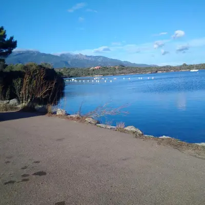 a lake with a bunch of birds on the water at Tozzasim in Pianottoli-Caldarello