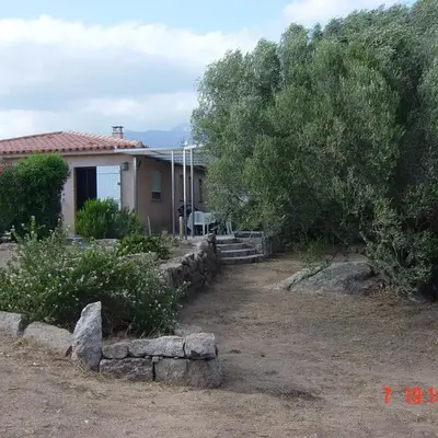 Tozzasim