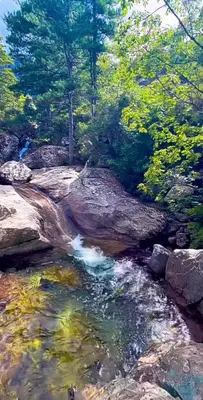 a painting of a river with rocks and trees at Typical Corsican Village House with Garden in Calenzana
