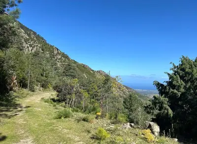 a trail on the side of a mountain with trees at Typical Corsican Village House with Garden in Calenzana