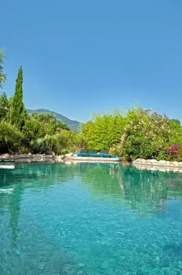a large body of water with trees in the background at Charmante Maison de Vacances à Olmeto avec Piscine in Olmeto