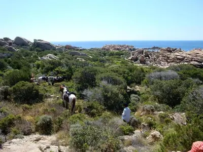 a group of people riding horses on a hill near the ocean at Charmante Maison de Vacances à Olmeto avec Piscine in Olmeto