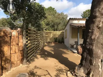 a fence and a tree next to a house at L'Accugliente in Lecci