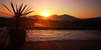 a sunset over a pool with a palm tree at chambre face a la mer in Porticcio