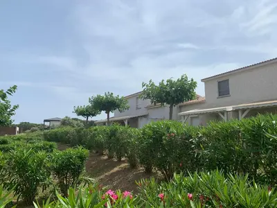 a row of bushes in front of a house at Villa Costa Verde in Cervione