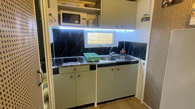 a small kitchen with a sink and a microwave at Chalet climatisé en Haute-Corse 500m plage - camping Marina di Sorbo in Sorbo-Ocagnano