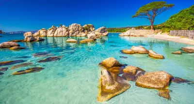 a swimming pool with rocks in the water at Bavella in Zonza