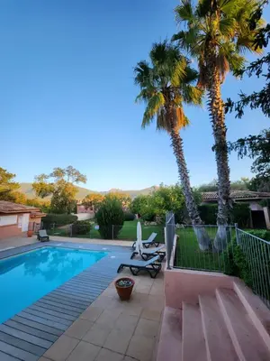 a swimming pool with two palm trees next to it at Bavella in Zonza