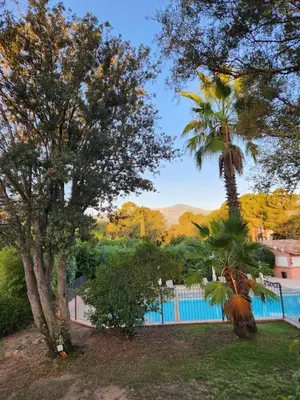 a view of a swimming pool between two trees at Bavella in Zonza