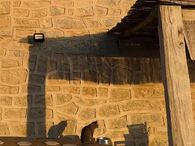two cats sitting in front of a brick wall at Maison de maître en pierre de 1831 avec vue sur la mer à Porticcio in Porticcio
