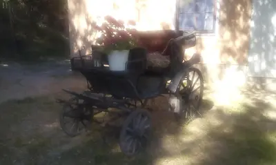 an old carriage with a potted plant on it at Kallista 2 in San-Giuliano