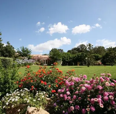 a garden with flowers in the middle of a field at Studio 30 m2 climatisé calme in Eccica-Suarella