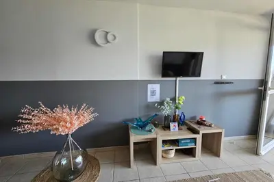 a living room with a vase and a table with a tv at Bel Appartement climatisé vue imprenable sur la mer terrasse wifi in Serra-di-Ferro