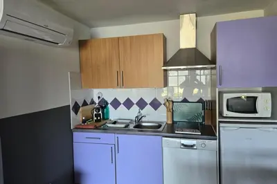 a kitchen with a sink and a microwave at Bel Appartement climatisé vue imprenable sur la mer terrasse wifi in Serra-di-Ferro
