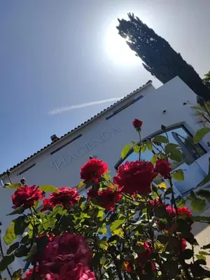 a group of red roses in front of a building at Hacienda d Amore in Oletta