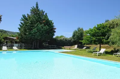 a large swimming pool with chairs and a tree at Chambre d'Hôtes Domaine Pero Longo in Sartène
