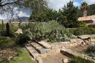 a garden with flowers in a stone wall at Chambre d'Hôtes Domaine Pero Longo in Sartène