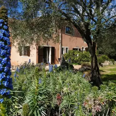 Chambre d'Hôtes Domaine Pero Longo