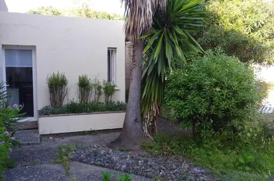 a palm tree in front of a house at Studio entre mer et montagne in Taglio-Isolaccio