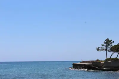 a tree on the shore of a body of water at Bord de mer, pieds dans l'eau, vue panoramique in San-Nicolao