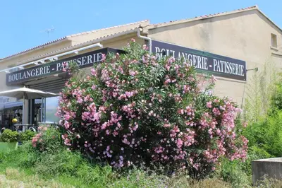 a large bush of pink flowers in front of a building at Bord de mer, pieds dans l'eau, vue panoramique in San-Nicolao