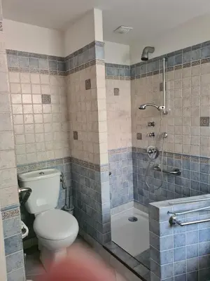 a bathroom with a toilet and a shower at la grande piscine in Porto-Vecchio