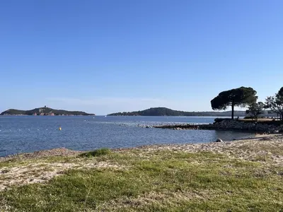 a tree on the shore of a body of water at Les Voiles in Pinarellu