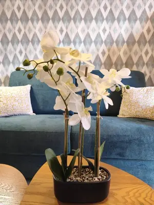a vase with white flowers on a table at T2 Cyprien, Climatisé, piscines, resto, Plages 2-4 pers in Lecci