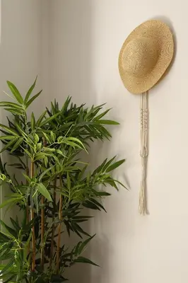 a hat hanging on a wall next to a plant at Bel appartement avec piscine en bord de mer in Ajaccio