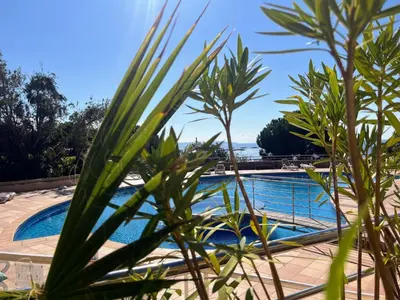 a view of the pool from behind some plants at Bel appartement avec piscine en bord de mer in Ajaccio