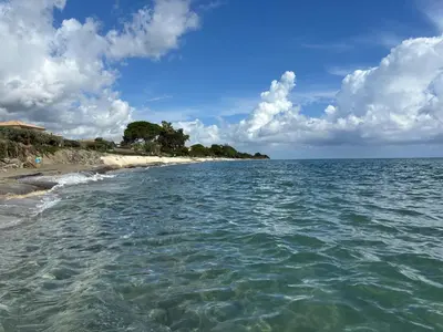a view of the ocean from the shore of a beach at Accès Direct Mer, Commerces Rivière 15mn in Santa-Lucia-di-Moriani