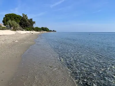 a beach with the water and trees in the distance at Accès Direct Mer, Commerces Rivière 15mn in Santa-Lucia-di-Moriani