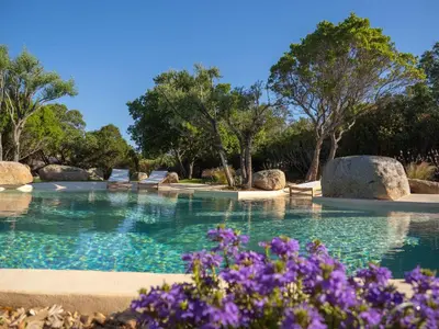 a swimming pool with trees and purple flowers at Villa Mamma in Zonza