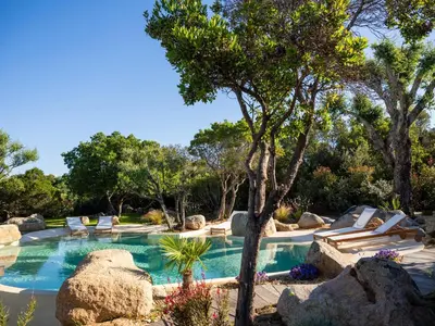 a swimming pool in a yard with trees at Villa Mamma in Zonza