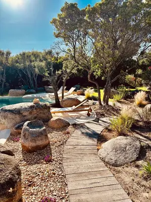 a pool with chairs and trees in a yard at Villa Mamma in Zonza