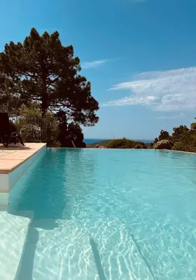 a swimming pool with a tree in the background at Gîte Ortolu in Monacia-dʼAullène