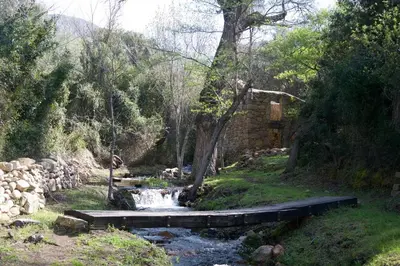 a small creek with a bridge in a forest at Gîte Ortolu in Monacia-dʼAullène