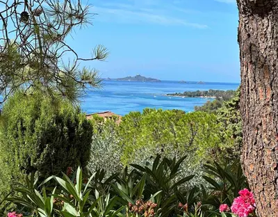 a view of the ocean from a hill with plants at Studio vue mer in Ajaccio