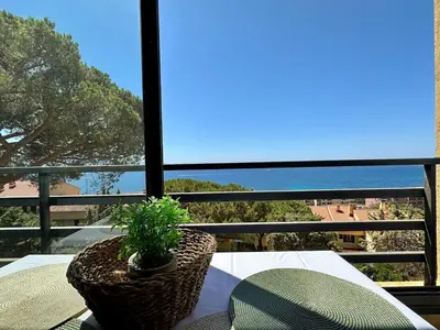 a table with chairs and a potted plant on a balcony at Studio vue mer in Ajaccio
