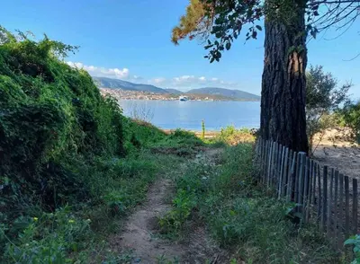 a path next to a fence next to a tree at Maison chaleureuse accès privé à la plage in Olmeto