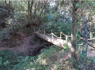 a wooden bridge in the middle of a forest at Maison chaleureuse accès privé à la plage in Olmeto