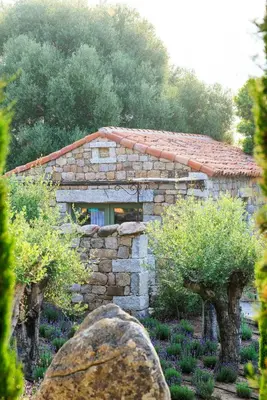 a small stone house with trees in front of it at A Mandria di Murtoli in Sartène