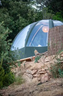 a green tent sitting on top of a hill at Palom'bolla in Porto-Vecchio