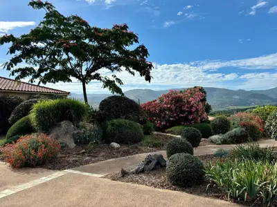 a garden with a tree and some bushes at Locations I Carboni - villa 2 chambres in Sollacaro