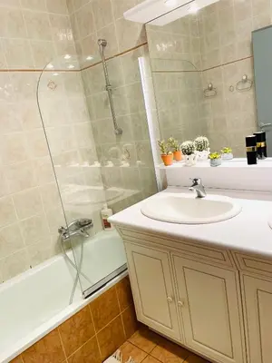 a bathroom with a sink and a shower at Ajaccio sanguinaires F3 in Ajaccio