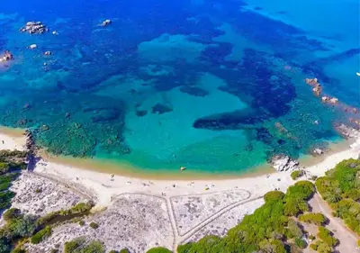 an aerial view of a beach and the ocean at Chalet M tout confort proche des plages in Pianottoli-Caldarello