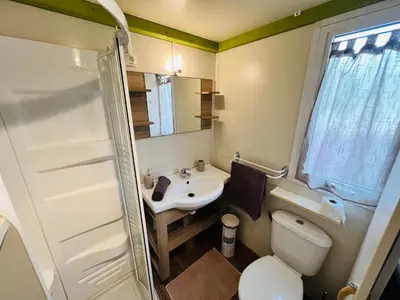 a small bathroom with a toilet and a sink at Chalet M tout confort proche des plages in Pianottoli-Caldarello