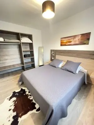 a bedroom with a large bed in a room at Appartement Lido de la Marana in Lucciana